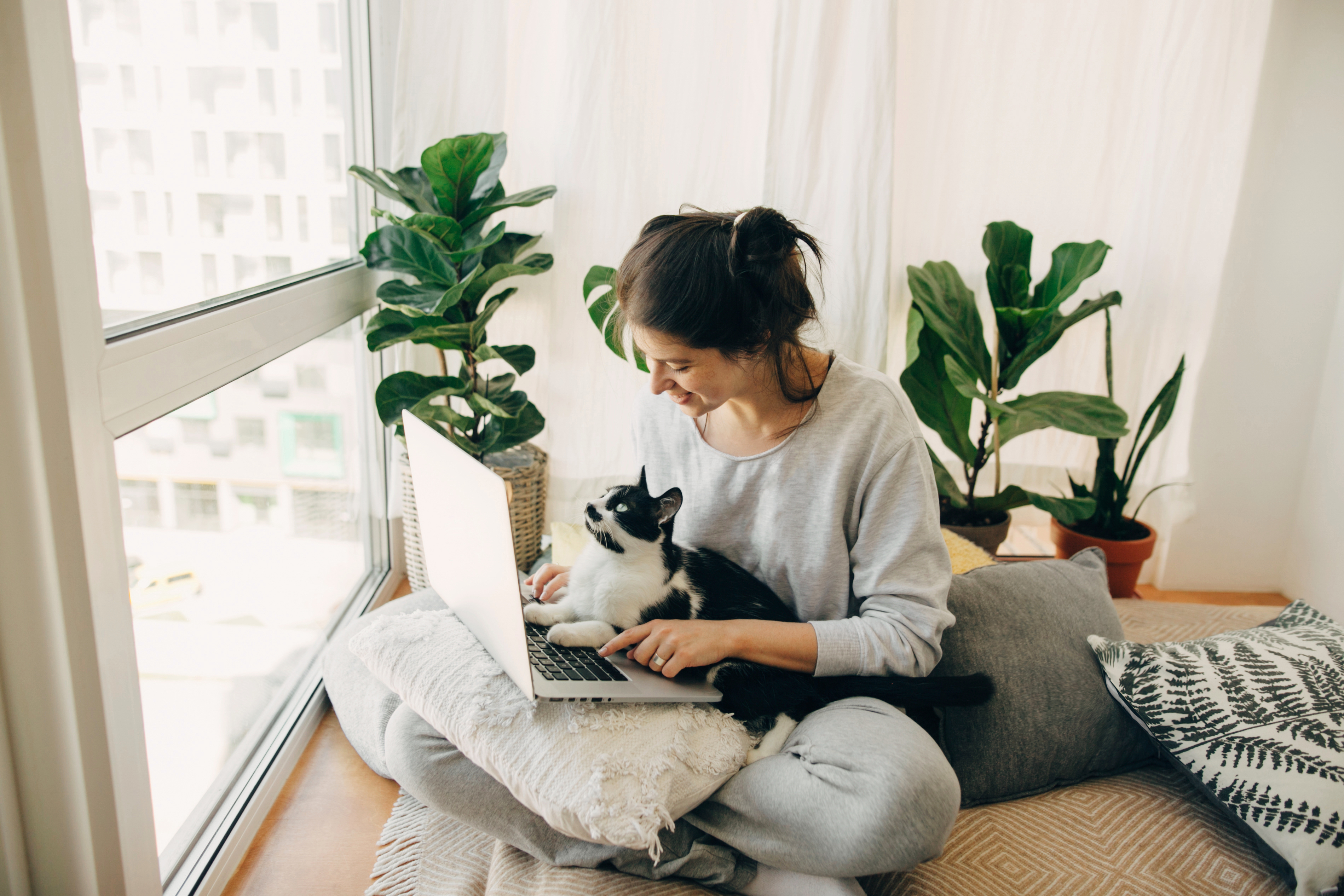 Casual girl working on laptop with her cat, sitting together in modern room with pillows and plants. Home office. Cute cat helping owner during quarantine, loyal companion. Stay home stay safe